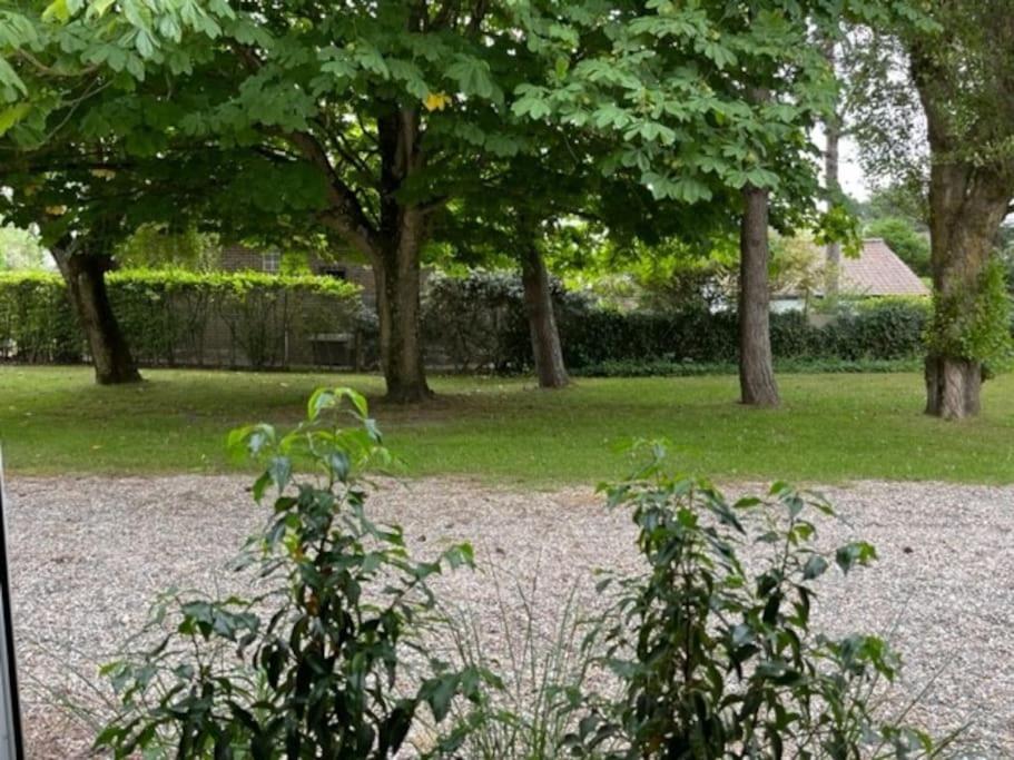 Maison Touquet Pour 4 Personnes Le Touquet エクステリア 写真